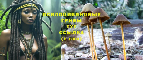 2c-b Белокуриха