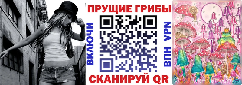 Галлюциногенные грибы Cubensis  закладка  Шагонар 